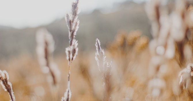 What is the role of PTSD in paramedic burnout and how does the clinical environment affect the coping strategies of paramedics?